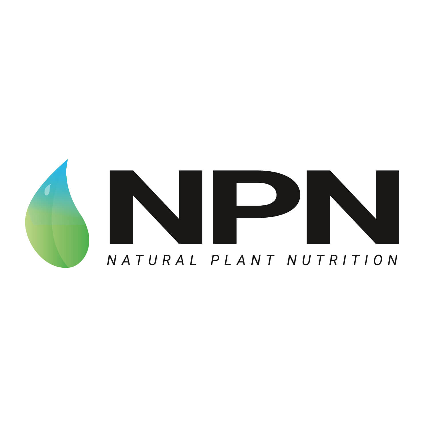 Logo designer JeroenWebsitemarketing NPN